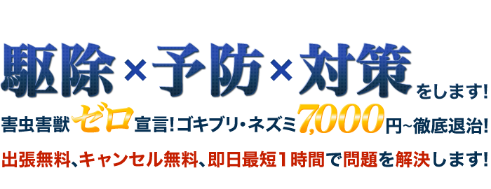 お家まるごと駆除・予防・対策をします!害虫害獣ゼロ戦減!ゴキブリ・ネズミ退治99.9%実績