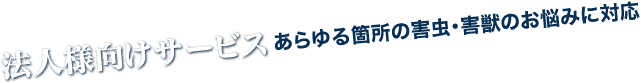 法人様向けサービスあらゆる箇所の害虫・害獣のお悩みに対応