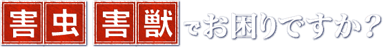 害虫・害獣でお困りですか?