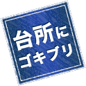 台所にゴキブリ